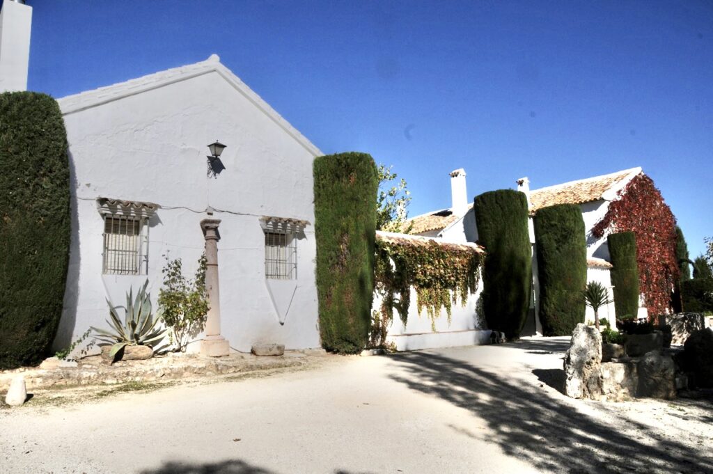 Domaine à vendre dans la province de Cadix. 1.000 hectares