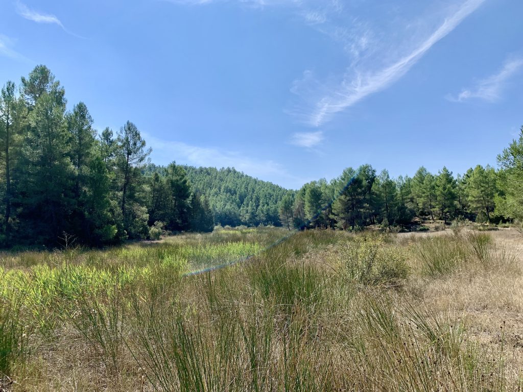 Domaine de chasse à Cuenca. 273 hectares