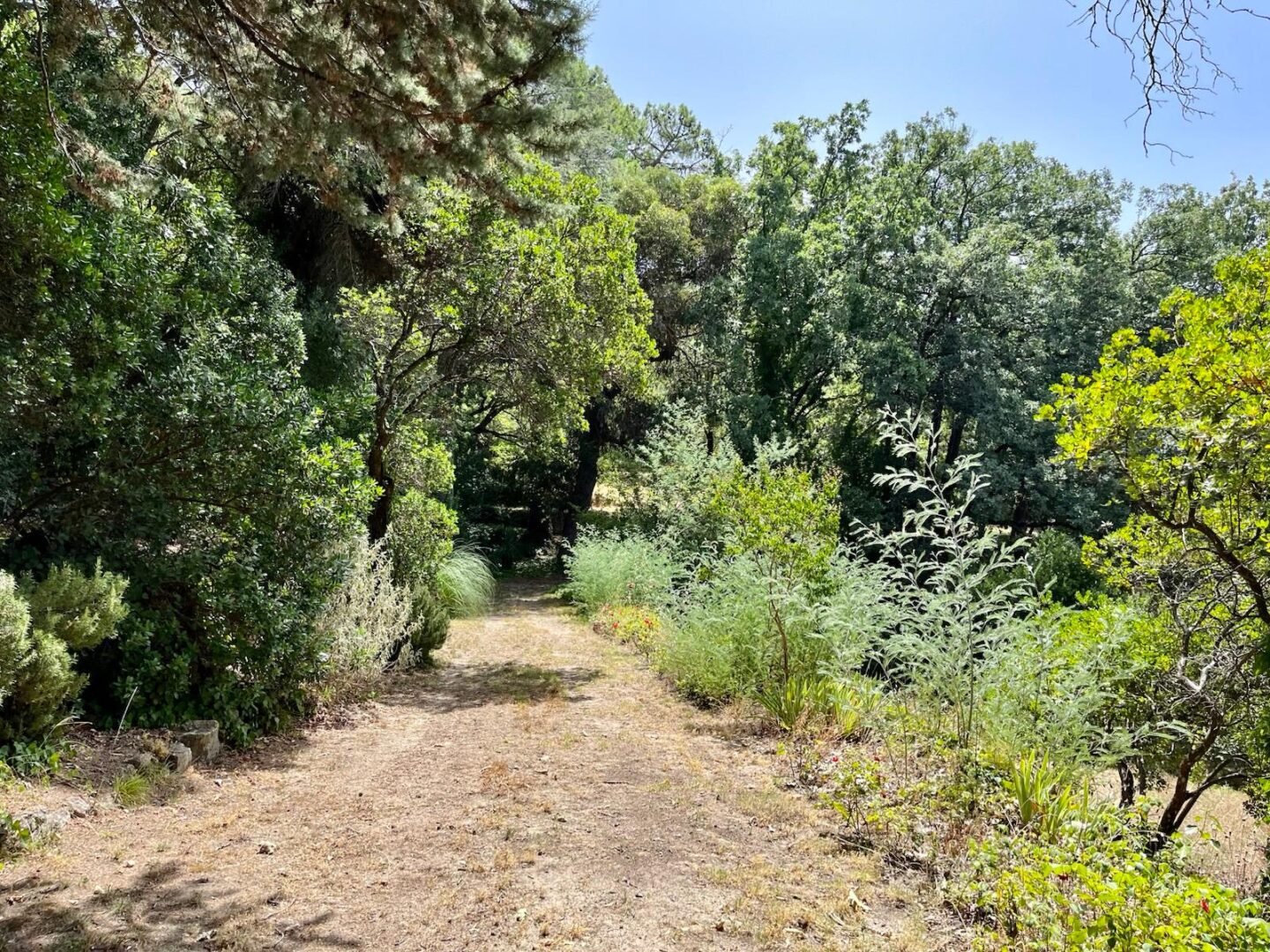 Propriété à Ávila (versant sud de la Sierra de Gredos). 8 hectares – Image 13