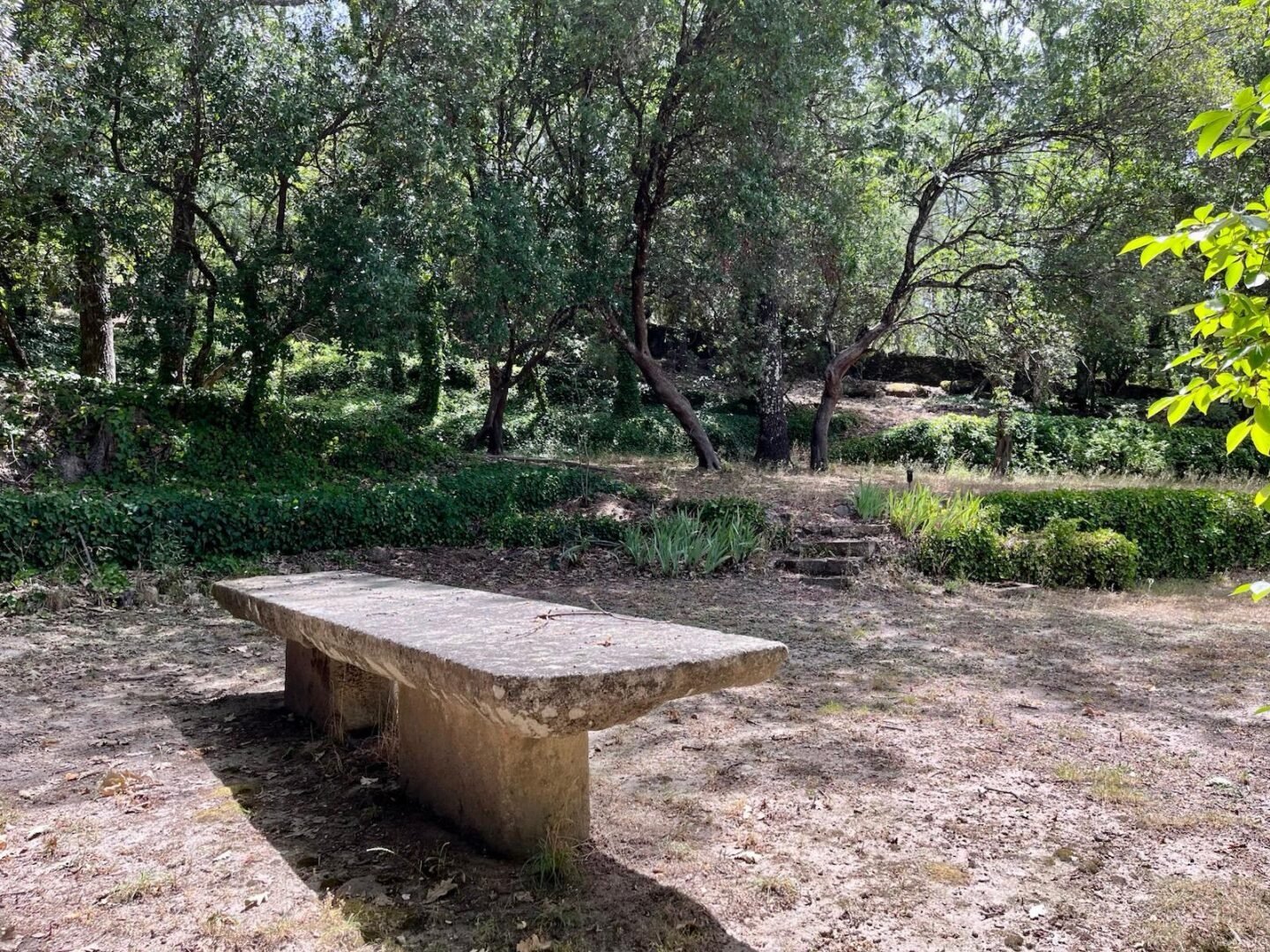 Propriété à Ávila (versant sud de la Sierra de Gredos). 8 hectares – Image 15