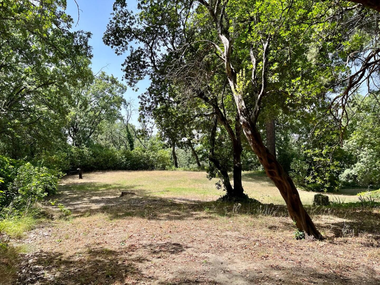Propriété à Ávila (versant sud de la Sierra de Gredos). 8 hectares – Image 21