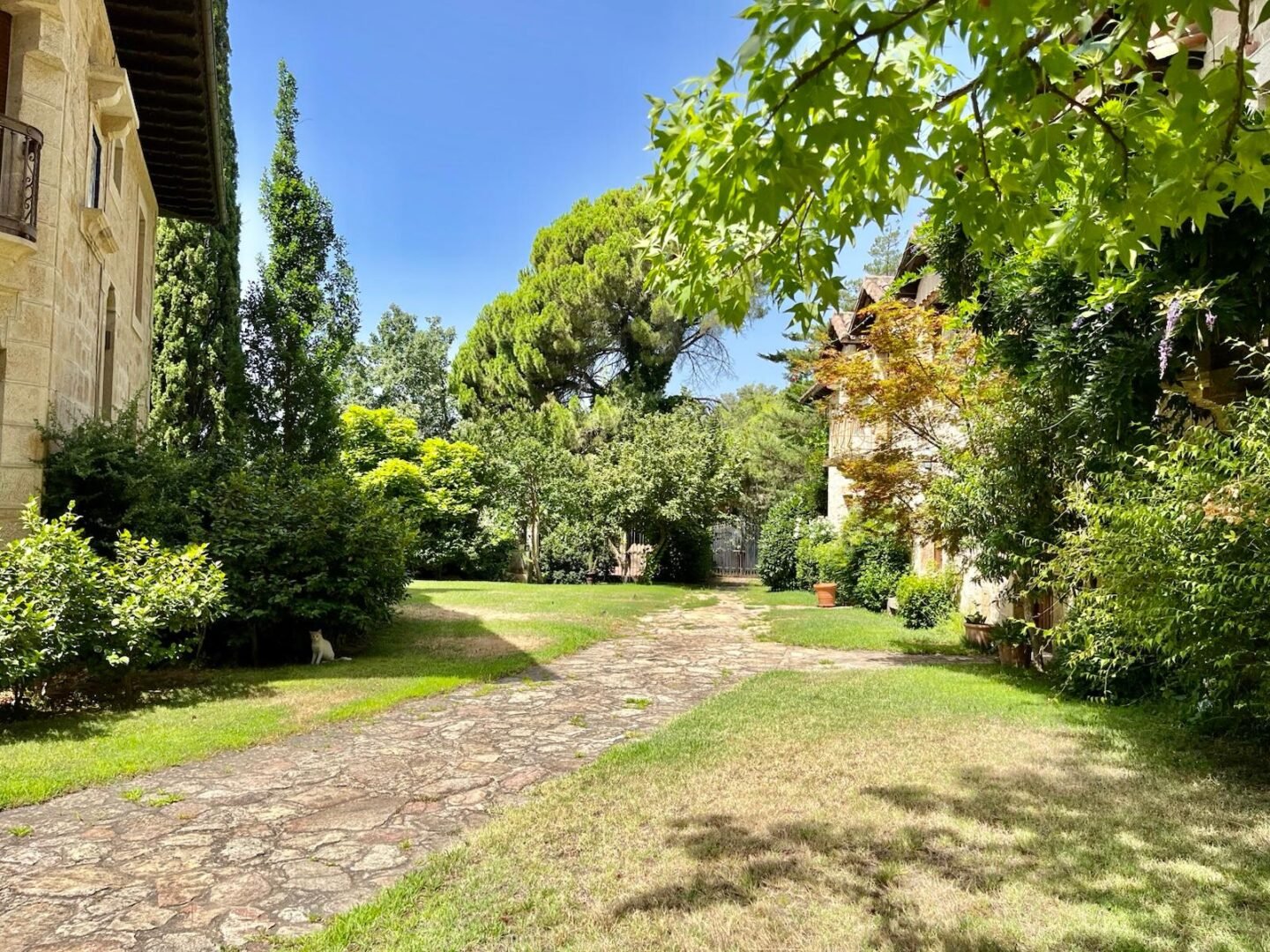 Propriété à Ávila (versant sud de la Sierra de Gredos). 8 hectares – Image 27