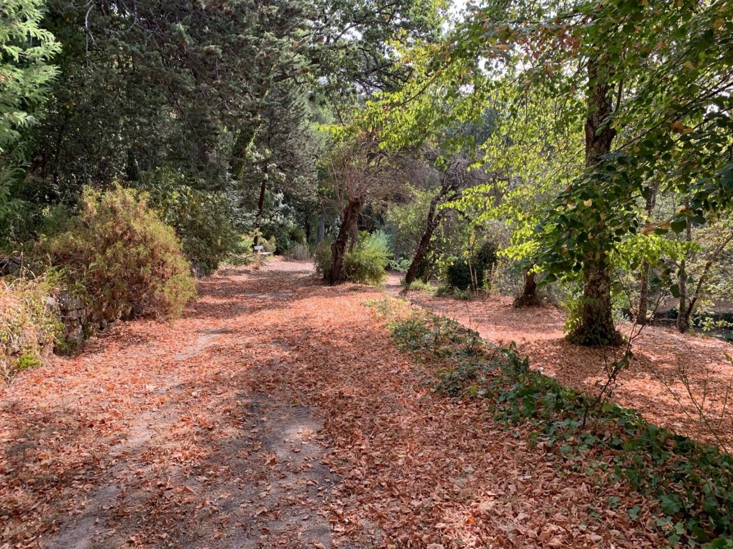 Propriété à Ávila (versant sud de la Sierra de Gredos). 8 hectares – Image 30