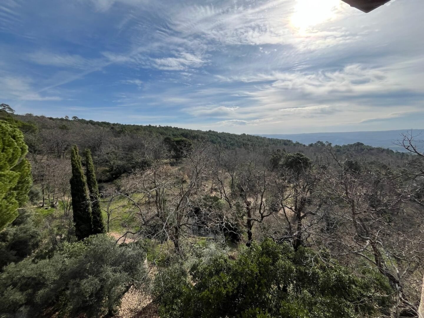 Propriété à Ávila (versant sud de la Sierra de Gredos). 8 hectares – Image 23
