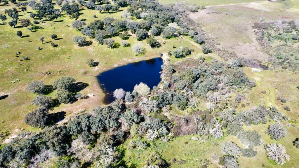 Venta de finca ganadera en la provincia de Cáceres. 52 hectáreas