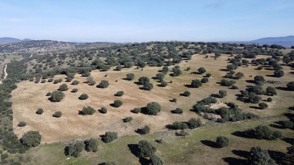 Vente de 110 hectares de terrain dans la province de Tolède