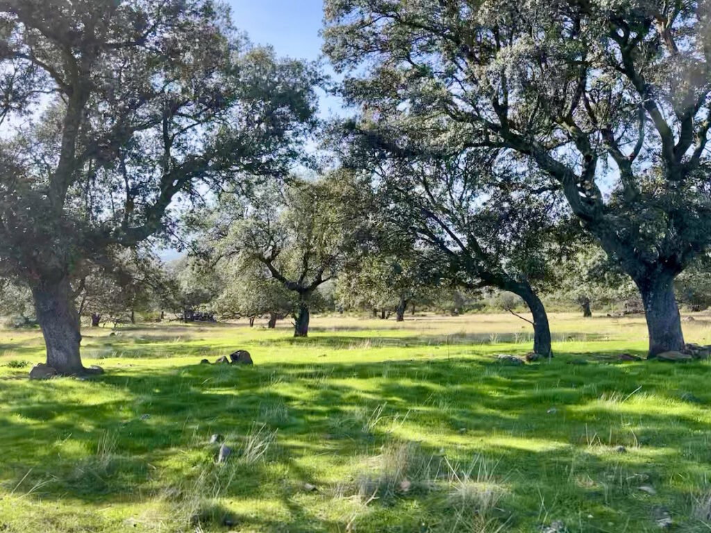 Bauernhof zu verkaufen in der Provinz Toledo. 38 Hektar