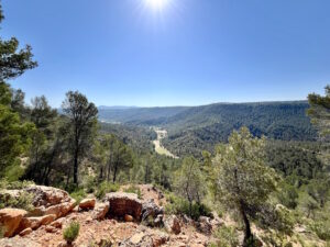 Farm for sale in the province of Cuenca. 770 hectares