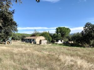 Venta de finca en la provincia de Toledo. 55 hectáreas