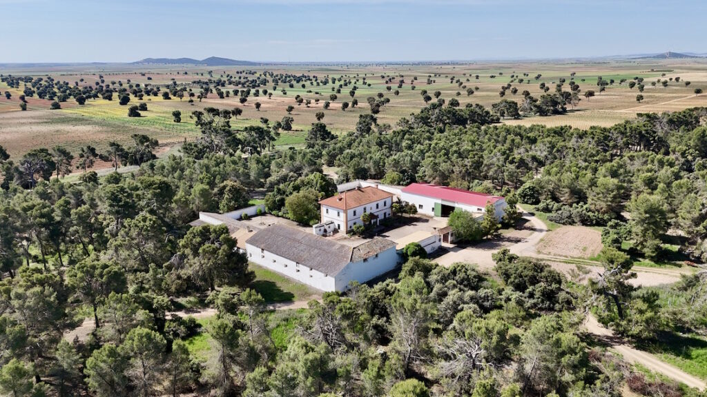 Estate for sale in the province of Toledo. 19 hectares