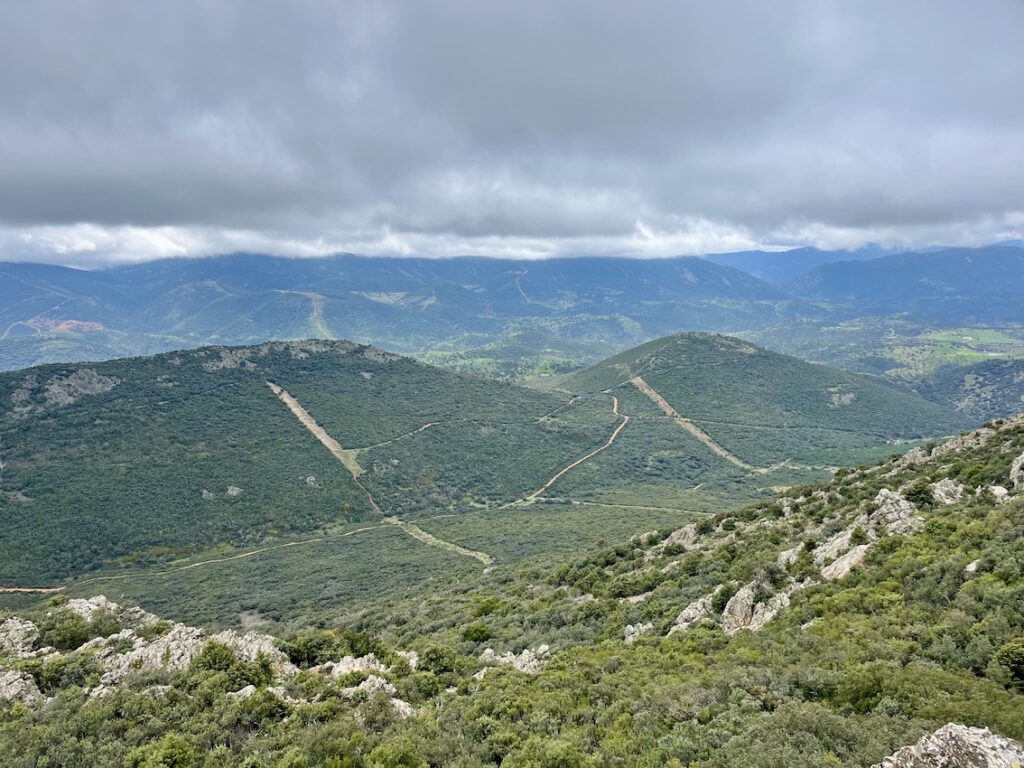 Venta de finca cinegética en la provincia de Ciudad Real. 509 hectáreas