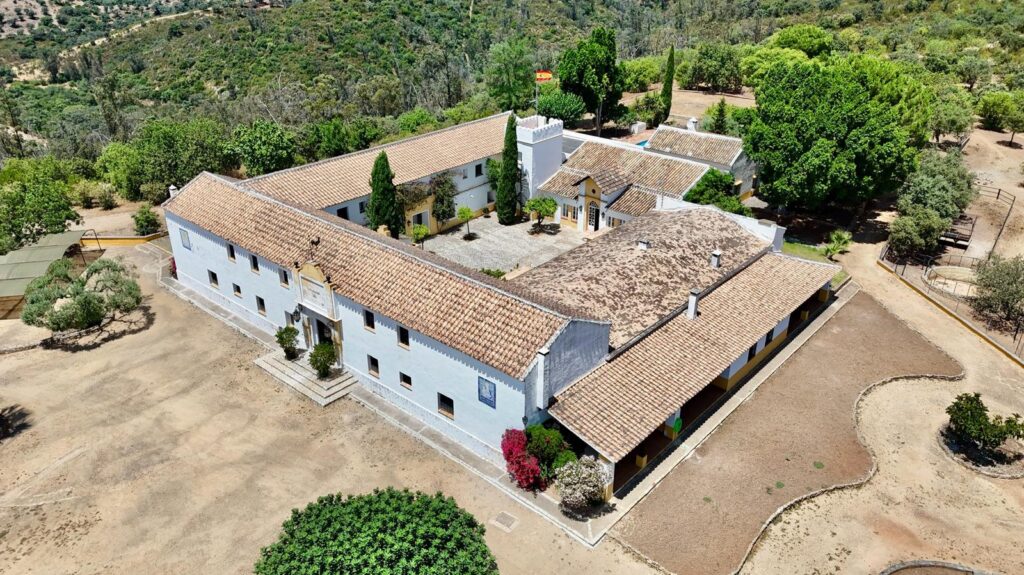 Venta de finca en la provincia de Sevilla. 89 hectáreas