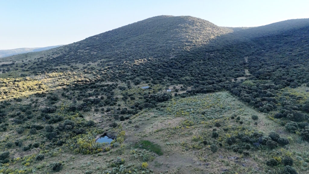 Venta de finca en la provincia de Cáceres. 382 hectáreas