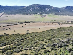 Estate for sale in the province of Ciudad Real. 611 hectares