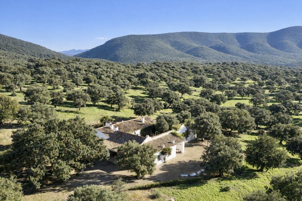 Venta de finca en la provincia de Cádiz. 868 hectáreas