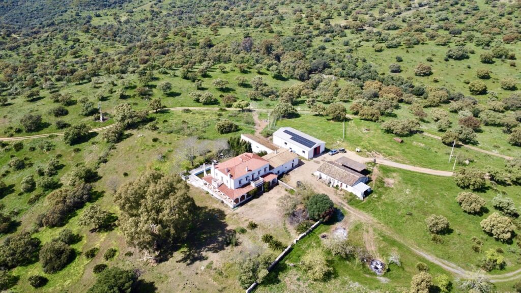 Venta de finca en la provincia de Sevilla. 588 hectáreas