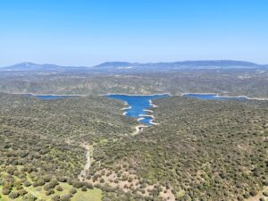 Finca ganadera en la provincia de Cáceres. 374 hectáreas