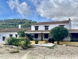 Venta de finca en la provincia de Córdoba. 96,15 hectáreas