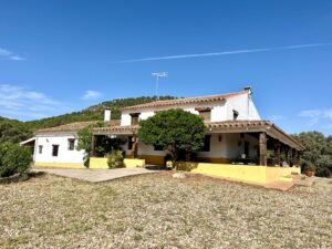 Estate for sale in Sierra Morena (Córdoba). 96.15 hectares