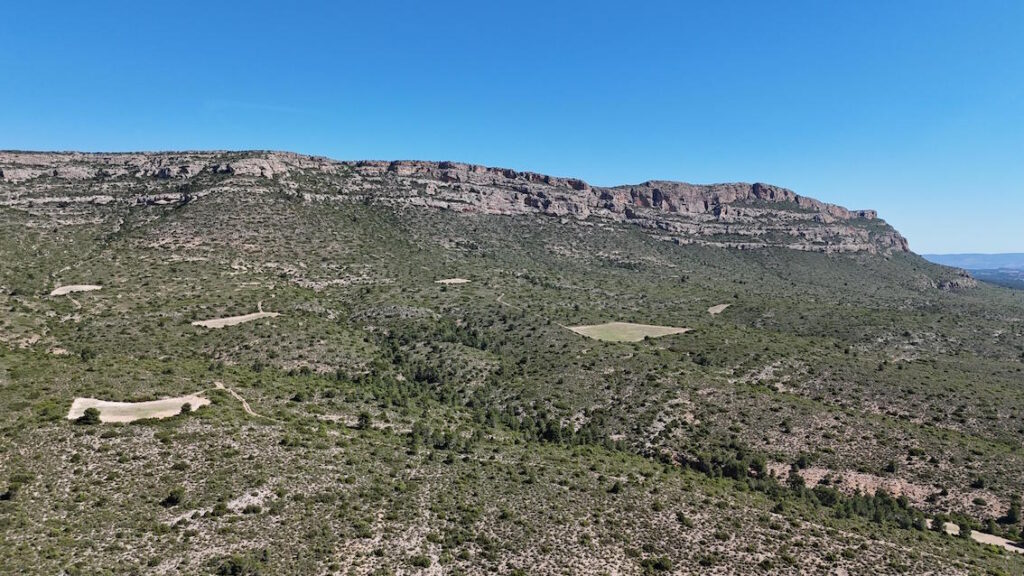 Vente de propriétés dans la province d'Albacete. 628,72 hectares