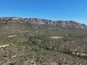 Venta de finca en la provincia de Albacete. 628,72 hectáreas