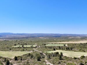 Propriété à vendre dans la province d’Albacete. 628,72 hectares