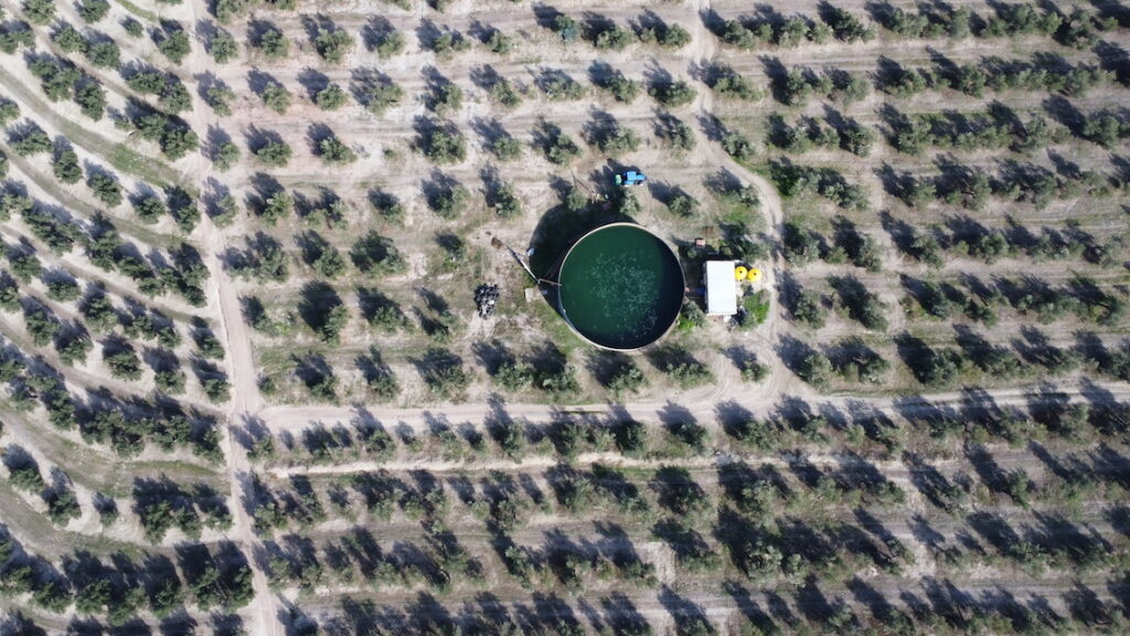 Venta de finca en la provincia de Jaén. 100 hectáreas