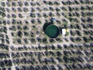 Venta de finca en la provincia de Jaén. 100 hectáreas