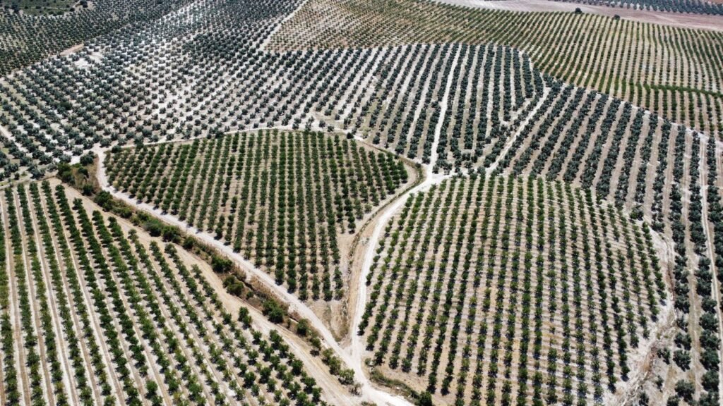 Vente d'une propriété dans la province de Málaga. 504,41 hectares
