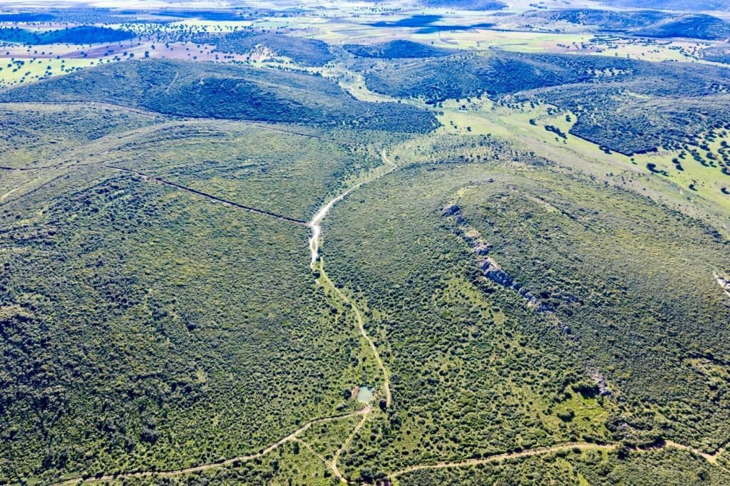 Finca de 465 hectáreas en Ciudad Real.